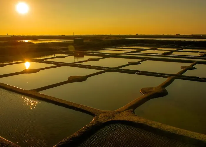 酒店 Mileade Les Pleiades La Baule